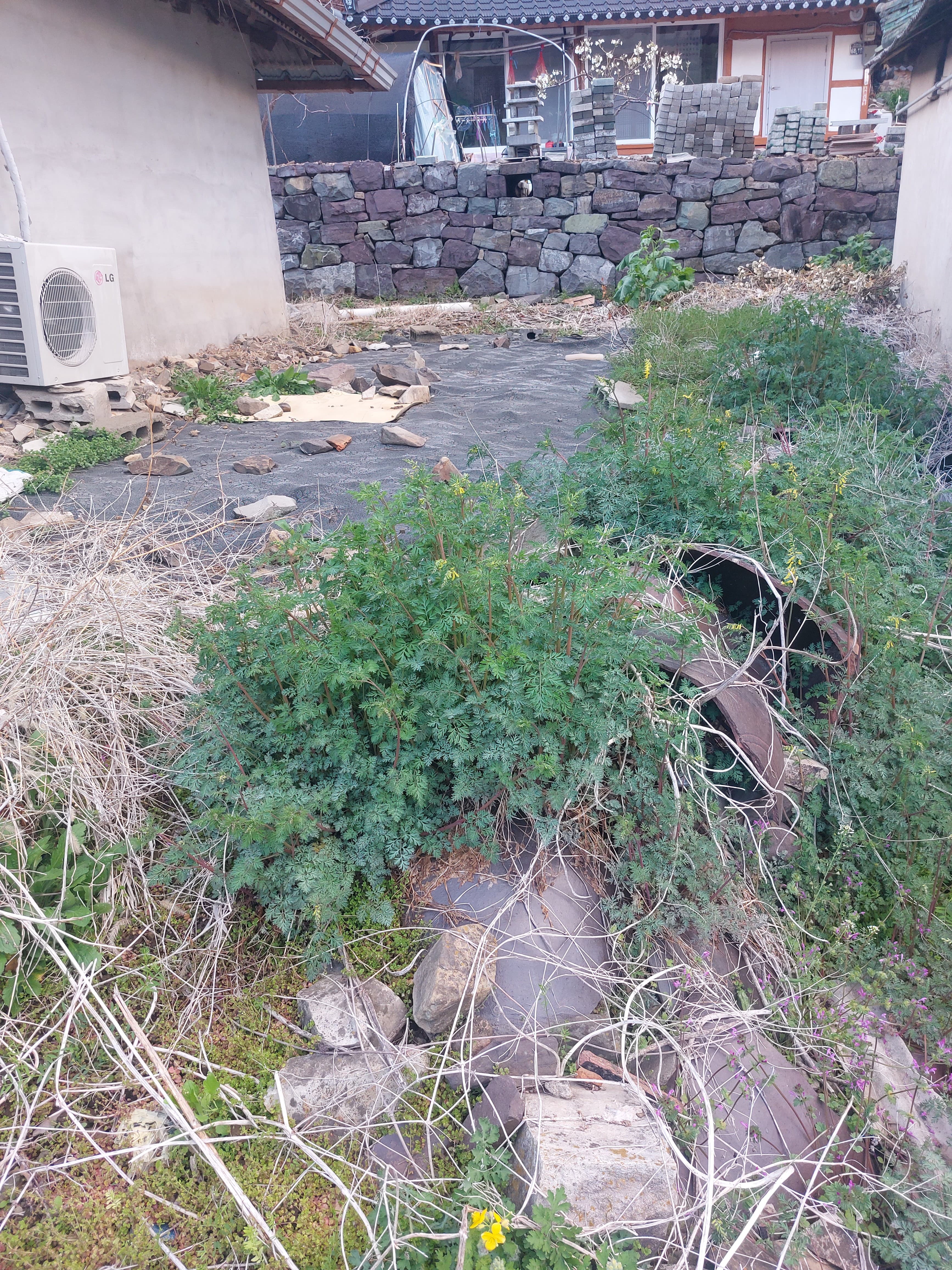 Country House in Uiryeong